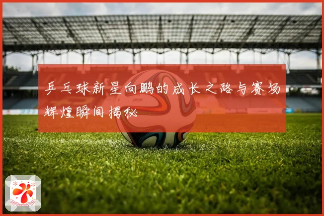 乒乓球新星向鹏的成长之路与赛场辉煌瞬间揭秘