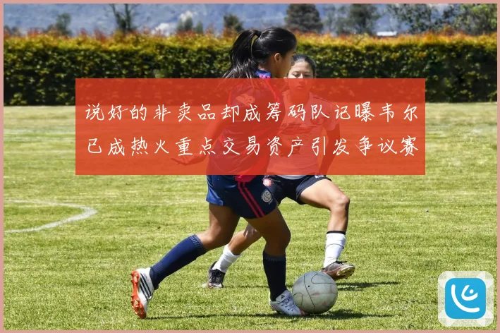 说好的非卖品却成筹码队记曝韦尔已成热火重点交易资产引发争议赛场复盘