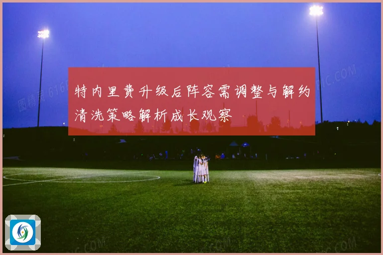 特内里费升级后阵容需调整与解约清洗策略解析成长观察