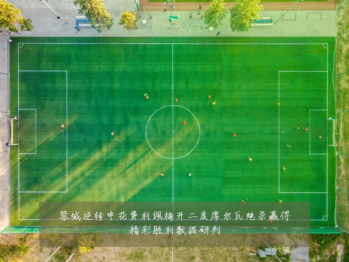 蓉城逆转申花费利佩梅开二度席尔瓦绝杀赢得精彩胜利数据研判