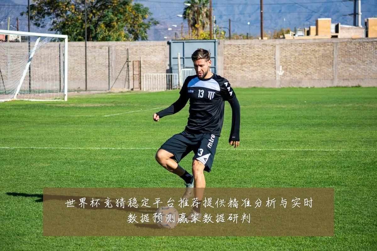 世界杯竞猜稳定平台推荐提供精准分析与实时数据预测赢家数据研判